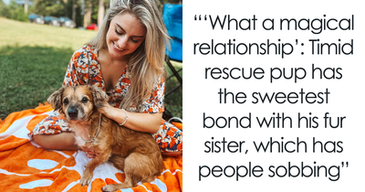 Netizens’ Hearts Melt As Small Scared Pup Gets A Loving Dire Wolf As Protector