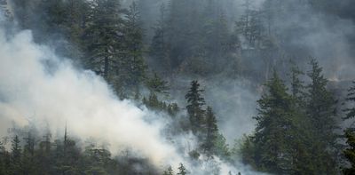 AI-generated misinformation can create confusion and hinder responses during emergencies