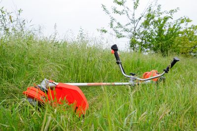 8 Common Yard Choices That Could Lead to a Lawsuit
