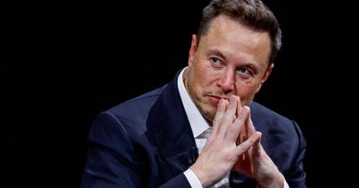 Thousands object to Tesla bid to supply energy in UK – how to sign the petition