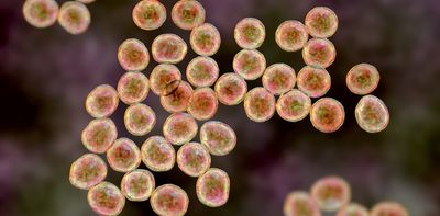 AI has produced 2 new antibiotics to kill ‘superbugs’. It’s promising – but we shouldn’t get too excited yet