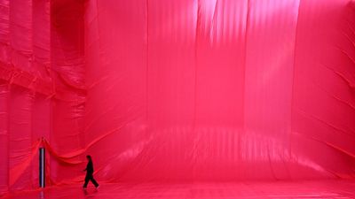 Rosy outlook: pink-hued exhibit reshapes building