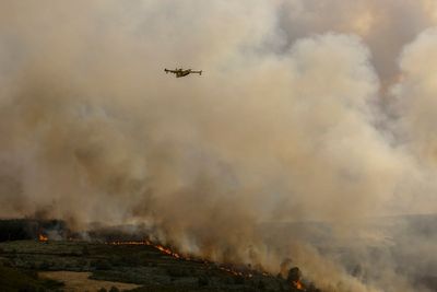 Scientists find carbon monoxide antidote that could treat poisoning within minutes