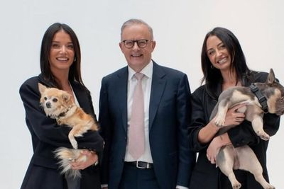 Anthony Albanese channels Gen Z in parliament with ‘delulu’ jab at Australian coalition