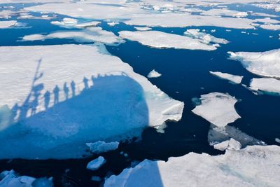 Dramatic slowdown in melting of Arctic sea ice surprises scientists