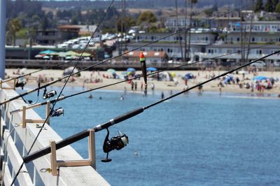 Revenues jump at Angling Direct after strong online sales