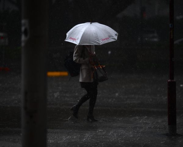 ‘Stay ready and stay safe’: NSW braced for intense rainfall and risk of floods