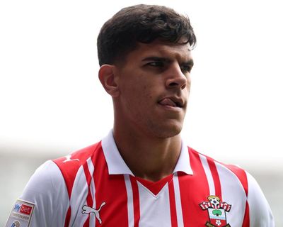 Everton likely to make fresh move for Southampton’s Tyler Dibling
