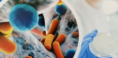 Environmental antibiotic resistance unevenly addressed despite growing global risk, study finds