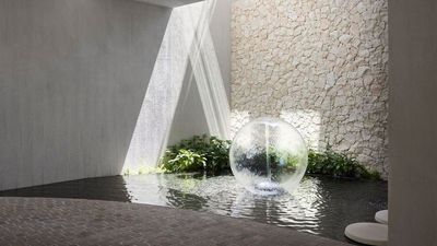 Undressed Water Features Are Boring — So, Here Are 5 Aquatic Plants to Add to Your Water Feature to Up Its Style Points