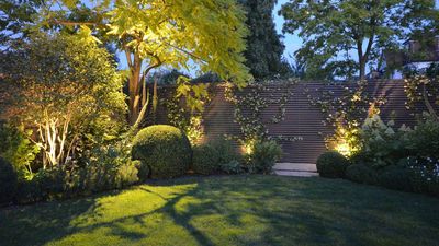 'Moonlighting' Is the Beautiful, Subtle Way to Light Your Garden at Night That All the Best Landscapers Use