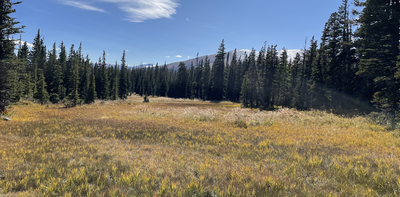 Colorado’s subalpine wetlands may be producing a toxic form of mercury – that’s a concern for downstream water supplies