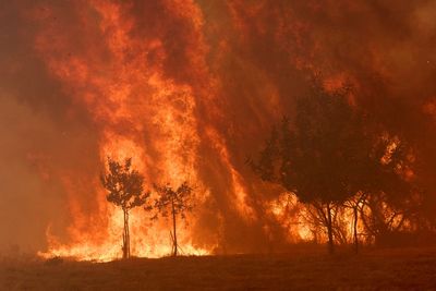 Stark warning issued following wildfires across Spain