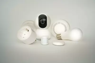 Are You Being Watched by That Smart Home System You Installed Yourself?