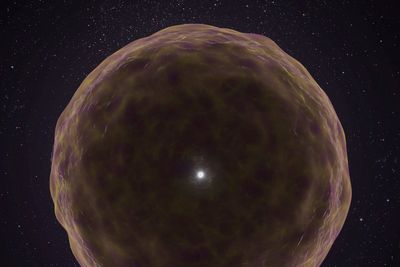 Scientists get amazing rare glimpse inside dying star as it explodes