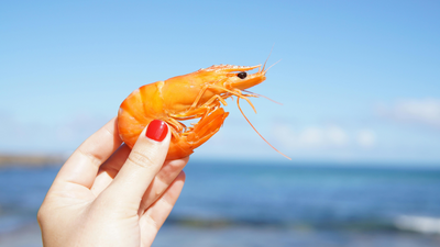 'Radioactive Shrimp': Do They Glow in the Dark and Why Walmart Is Pulling Them