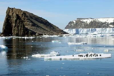 Antarctic Climate Shifts Threaten 'Catastrophic' Impacts Globally