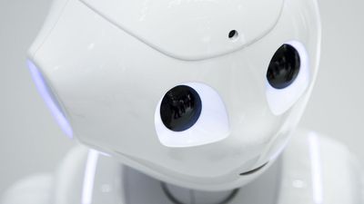 OpenAI won't make "Japanese anime sex bots" but Sam Altman says others definitely will — AI relationships are getting weird