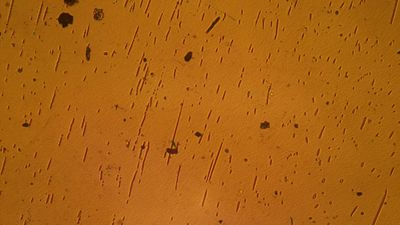 Semiconductor wafer on ISS goes under the microscope | Space photo of the day for Aug. 20, 2025