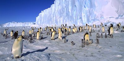 From sea ice to ocean currents, Antarctica is now undergoing abrupt changes – and we’ll all feel them