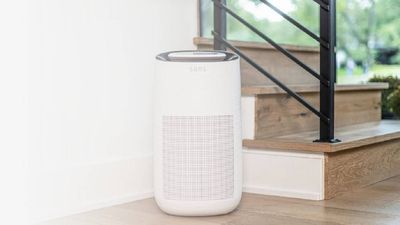 Sans discount codes - for August 2025