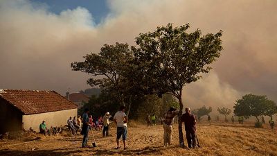 Spain reports nearly 400,000 hectares burned and 37 arrests due to fires