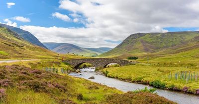 Scotland's national parks receive £6m to help in ‘global fight’ for nature