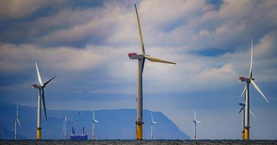 Fishing leaders demand stop to wind farm expansion 'stampede'
