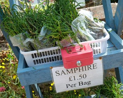 The magic of samphire season: Jimi Famurewa’s recipe for mackerel, chorizo, new potato and samphire