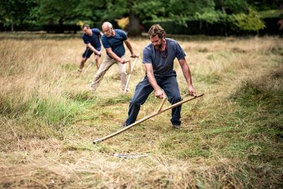 Scythers cut back the King’s wildflower meadow in annual tradition