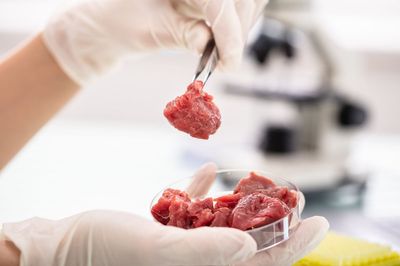 Are we about to experience a golden age of lab-grown meat?