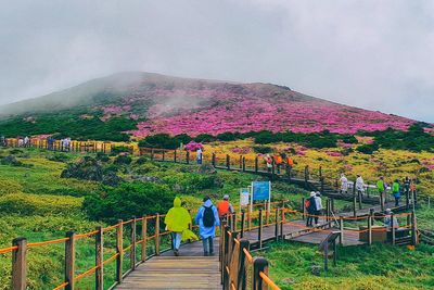 South Korea’s Jeju island cracks down on misbehaving tourists
