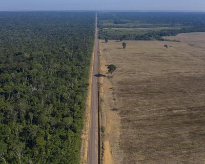 Brazil authorities suspend key Amazon rainforest protection measure