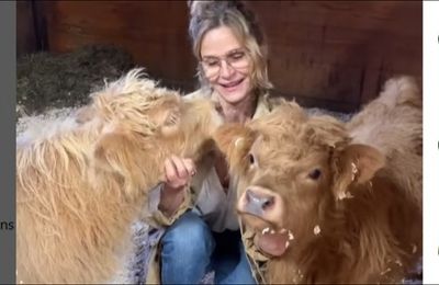 Kevin Bacon surprises Kyra Sedgwick with cows