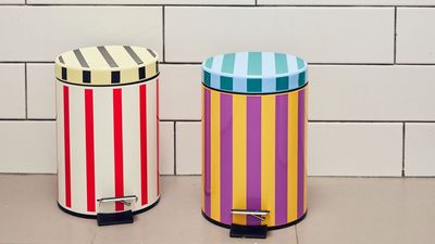 This Designer's On-Trend Take on Stripes Turns the Least Aesthetic Accessory in Your Bathroom Into a Thing of Beauty