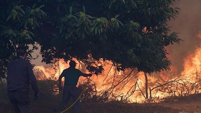Wildfires devastate nearly 10,000 km2 in 2025 with Spain and Portugal hardest-hit