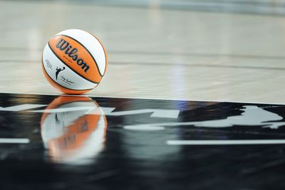 Fan, 32, accused of throwing sex toy at 12-year-old girl during WNBA game