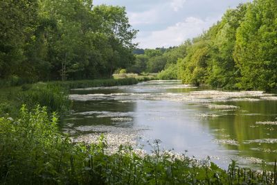 Planners refuse permission for poultry unit close to ‘precious’ chalk stream