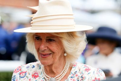 Queen delights racegoers but has hopes of winning dashed at York Racecourse
