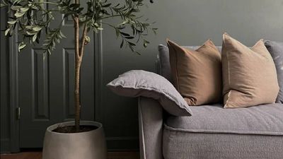Koala coupon codes - for August 2025
