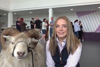 Teen shepherd arrives with pet sheep at school to collect GCSE results