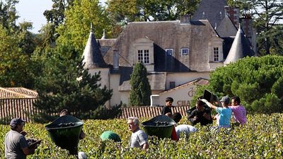France's vineyards begin 2025 harvest early after hot temperatures