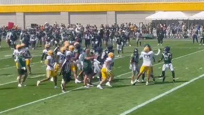 Punches Were Thrown During Packers and Seahawks Joint Practice