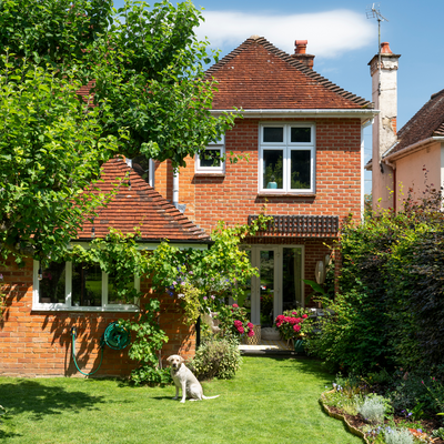3 defensive plants to keep your home safe from thieves – add them to your garden ASAP