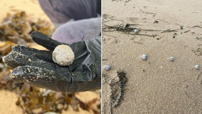 Mystery ‘debris balls’ return to NSW beaches as residents warned to steer clear