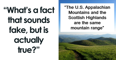 45 Facts That Your Intuition Might Say Are Fake But They’re Actually True