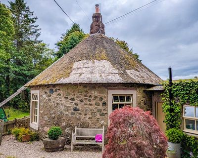 Country Diary: A rare sighting around the Highlands – a thatched roof