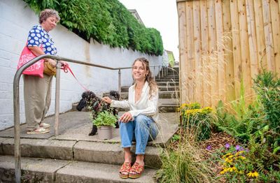 ‘Bee buffets’: the pollinator pathways turning drab alleys into insect havens