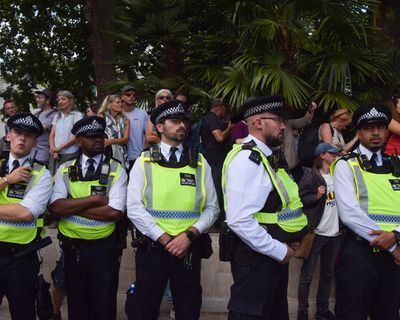 Protesters against ban on Palestine Action intend to make mass arrests ‘impossible’