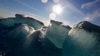‘Temporary reprieve’: Why is Arctic Sea ice melting more slowly despite global warming?